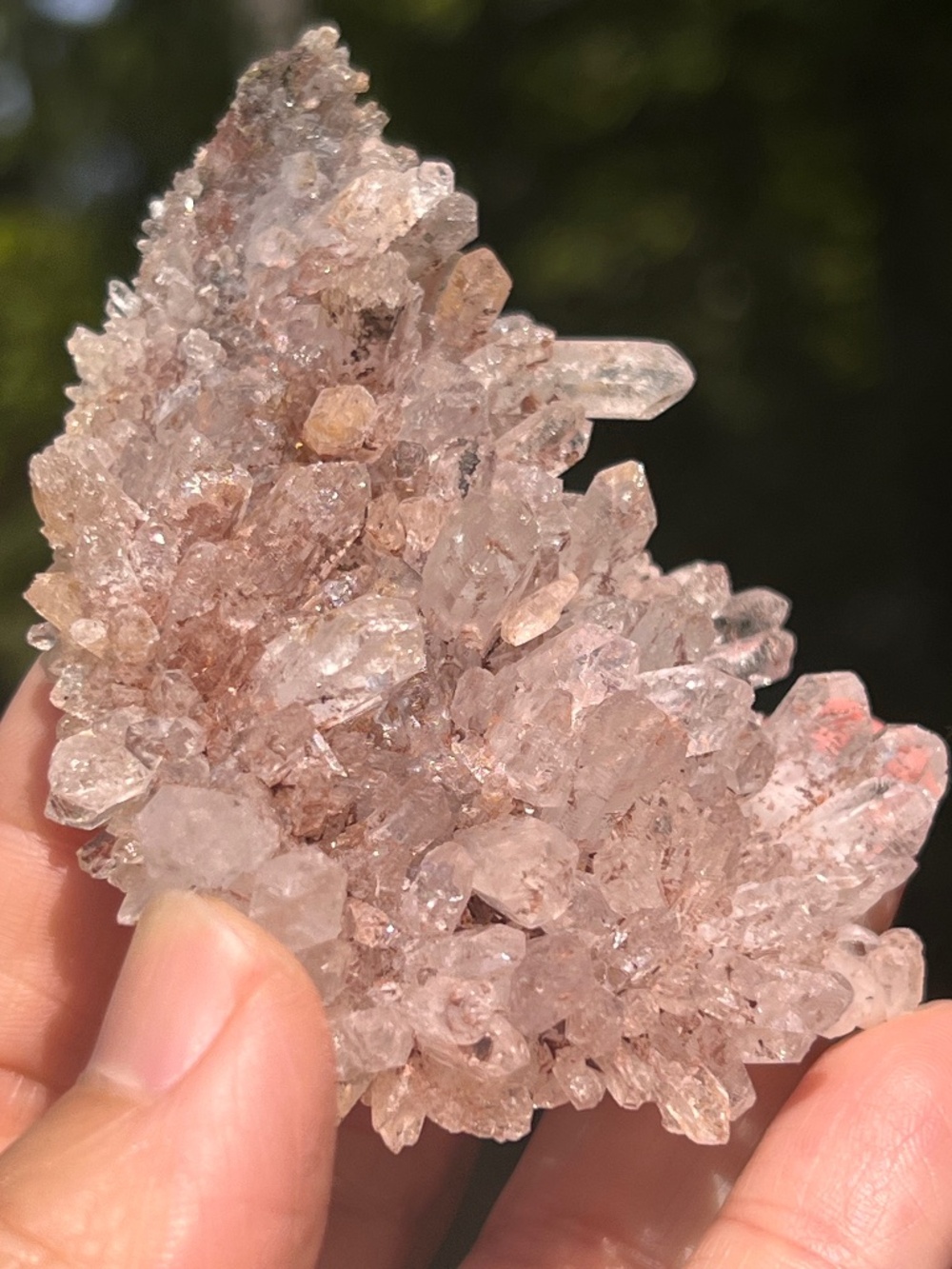 Pink (4) lemurian Quartz cluster | crystal